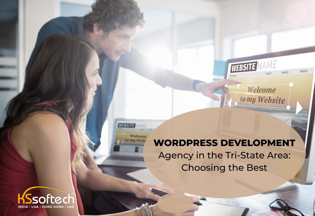 Word press development agency