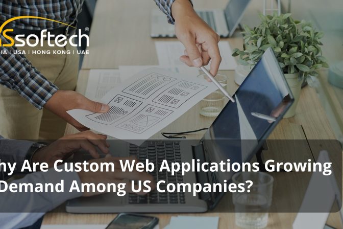 Why Are Custom Web Applications Growing in Demand Among US Companies?