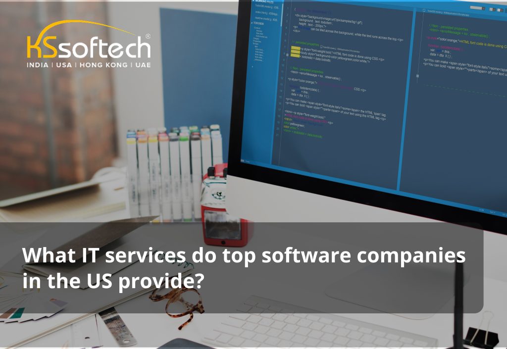 What IT services do top software companies in the US provide?
